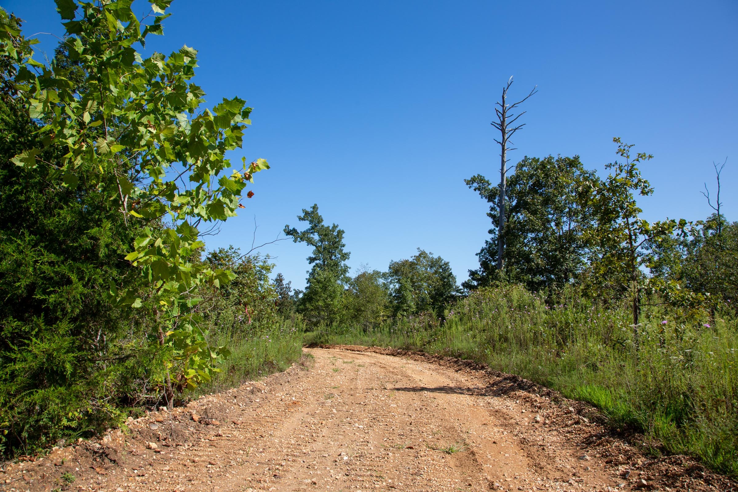 Borgmann’s Hollow Phase II Tract 66 photo 7