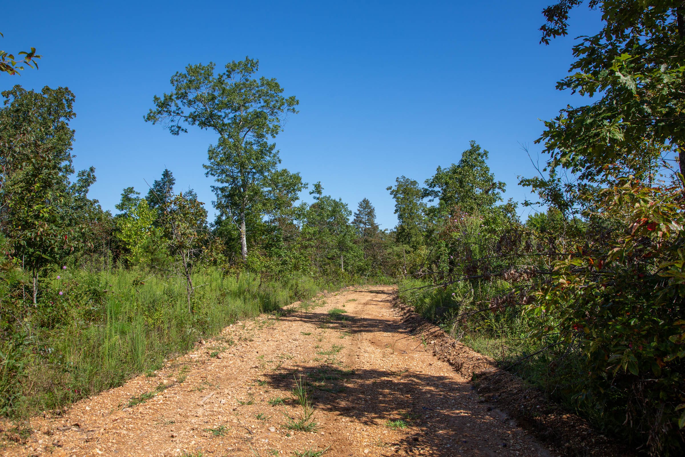 Borgmann’s Hollow Phase II Tract 66 photo 4
