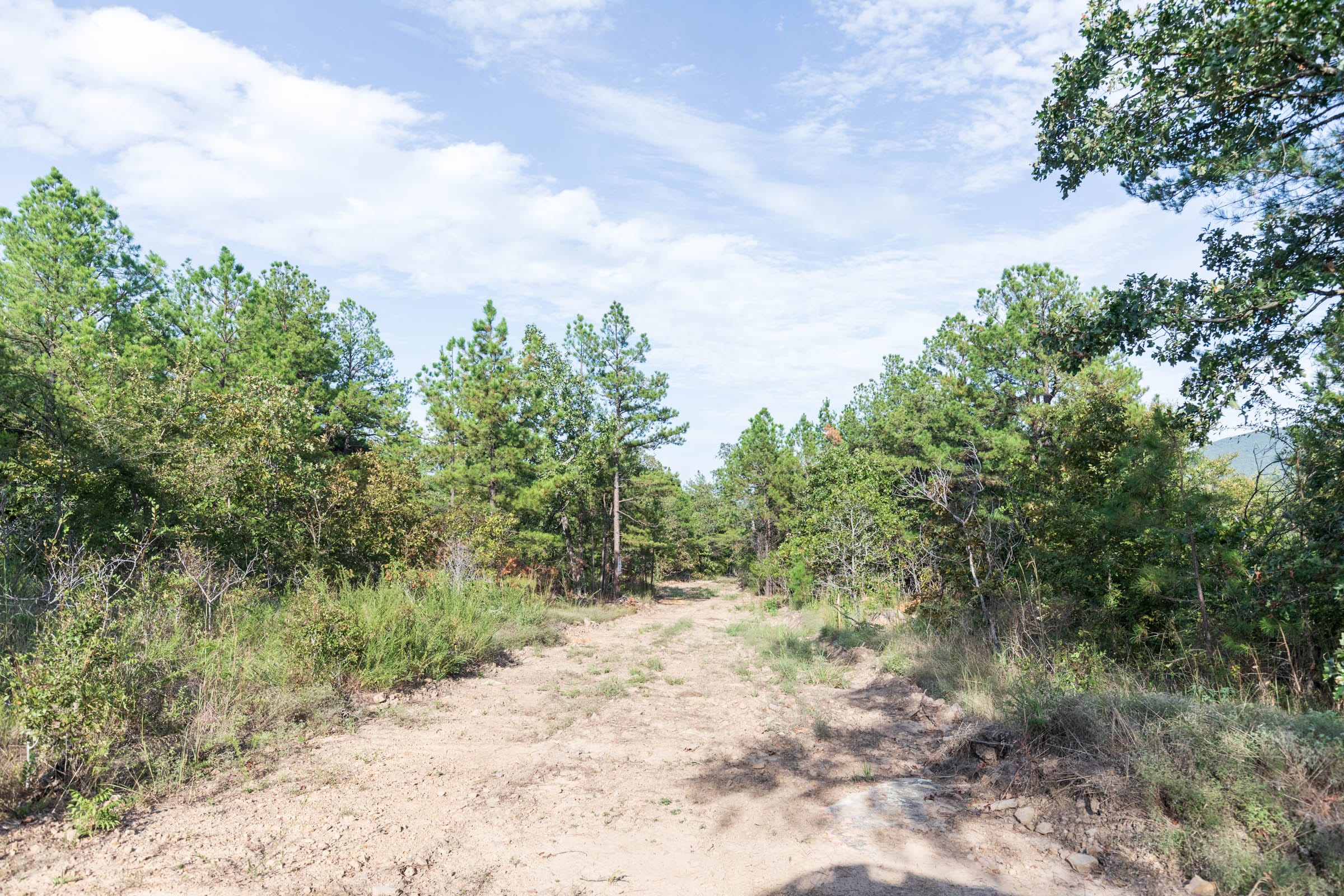 Stone Bridge Phase V Tract 397 photo 6