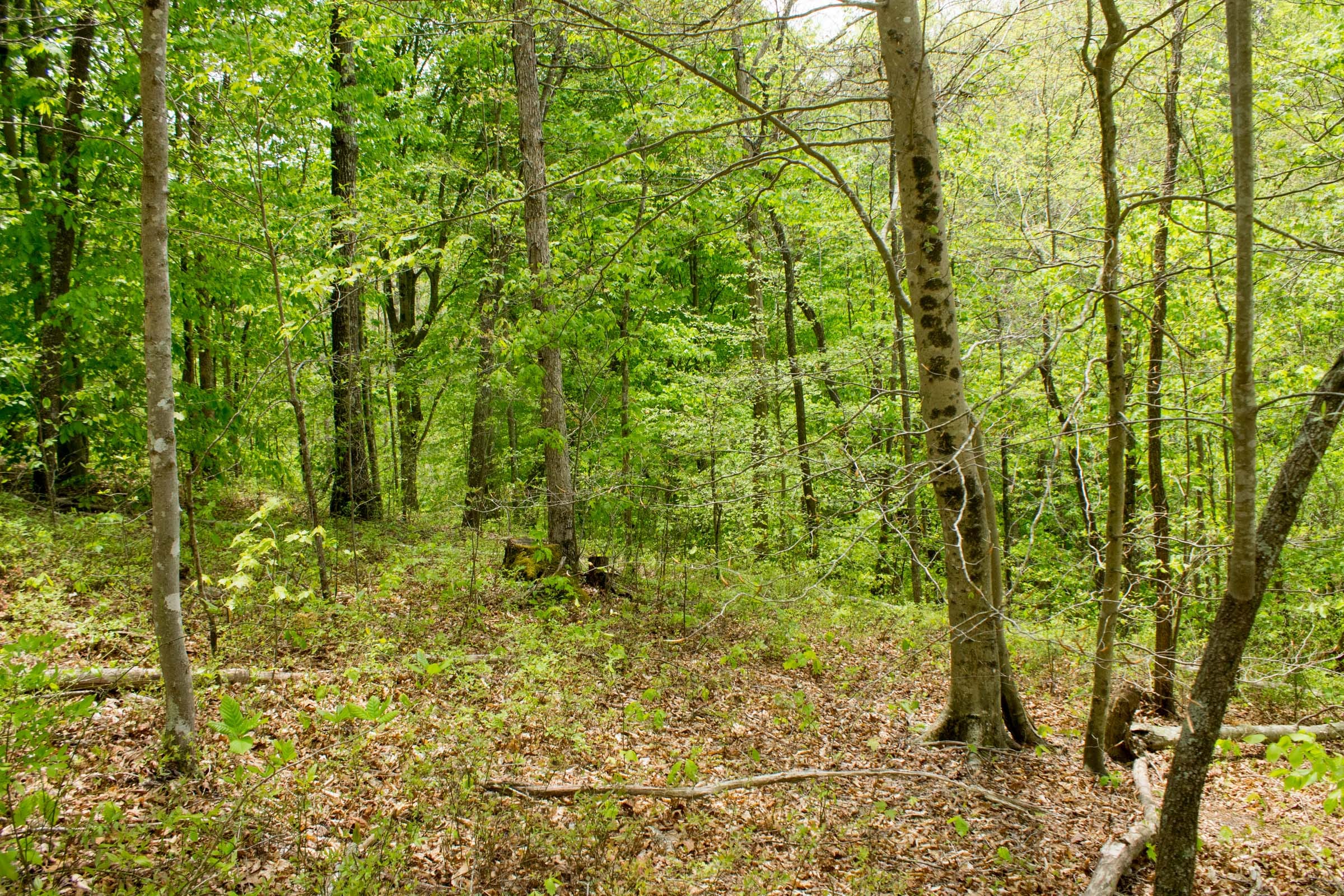 Trails End Tract 11 photo 3