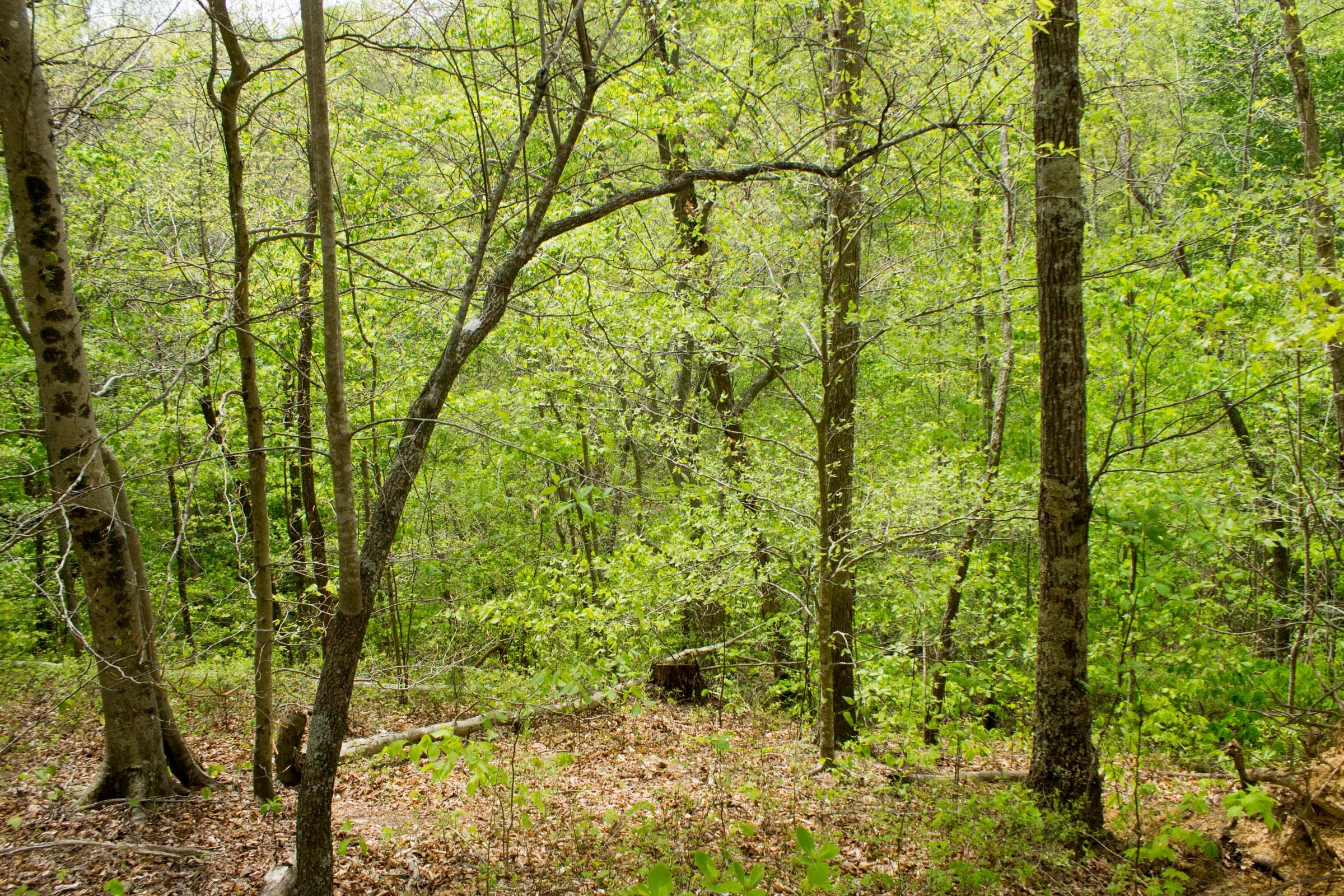 Trails End Tract 11 photo 1