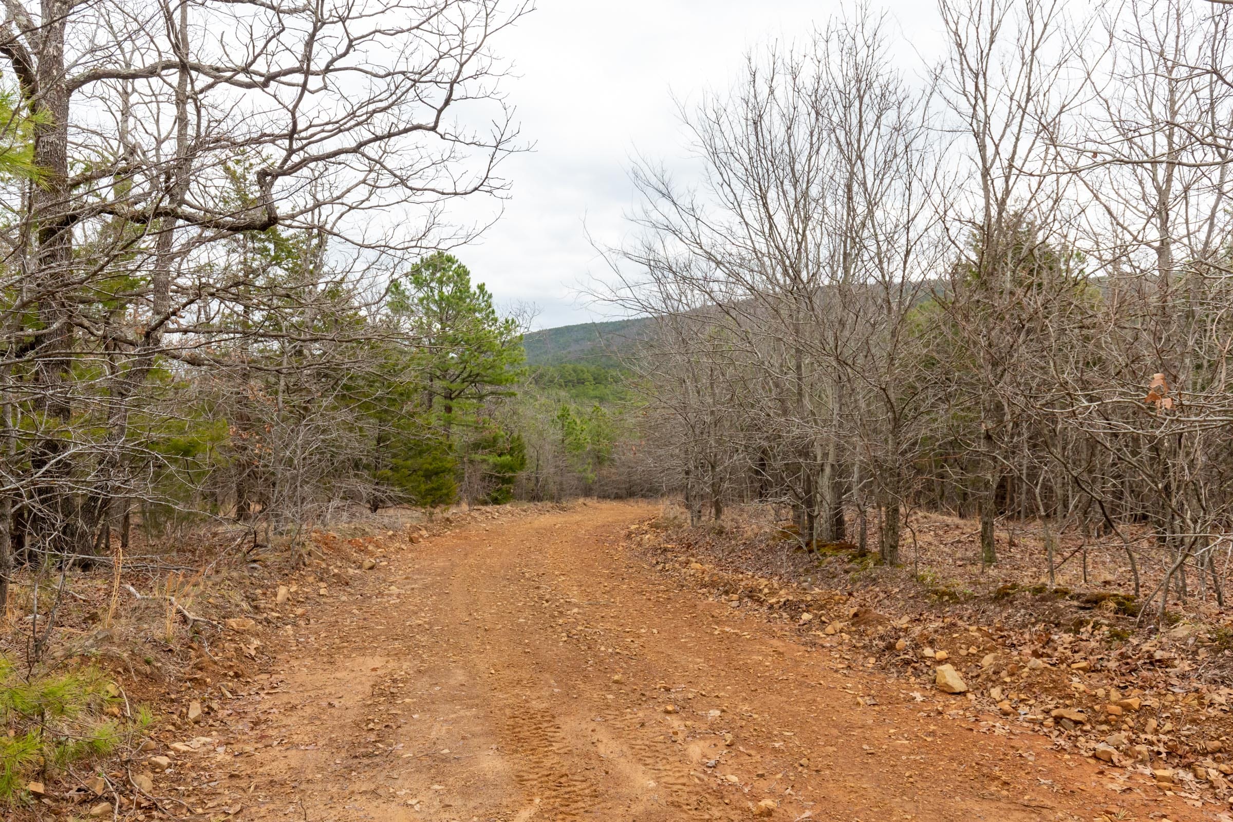 Stone Bridge Phase III Tract 219 photo 1
