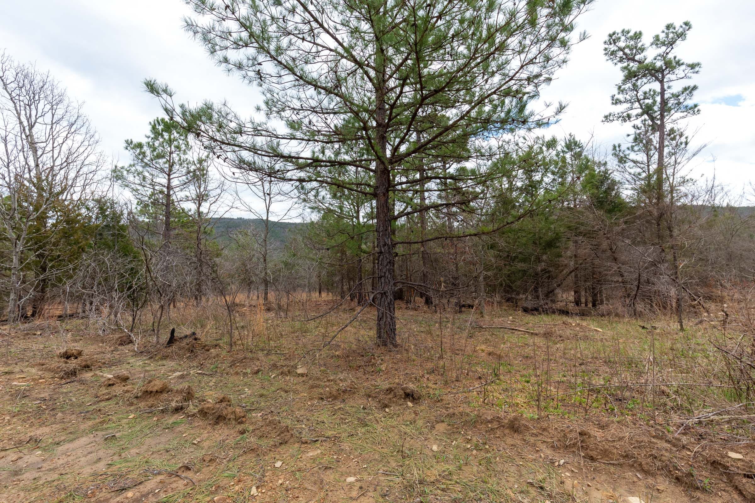 Stone Bridge Phase III Tract 219 photo 6