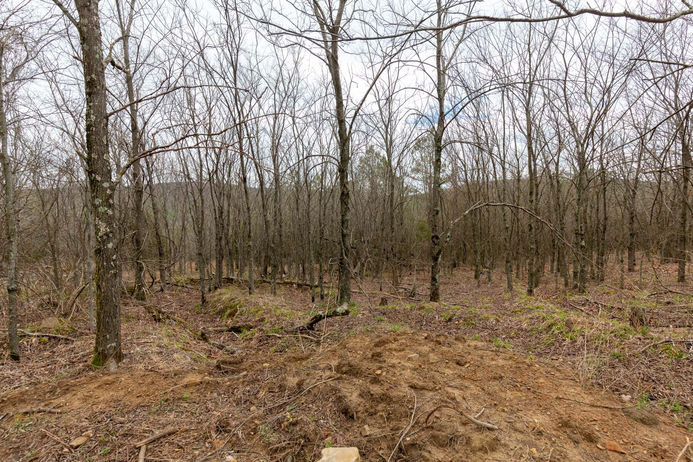 Stone Bridge Phase III Tract 219 photo 8