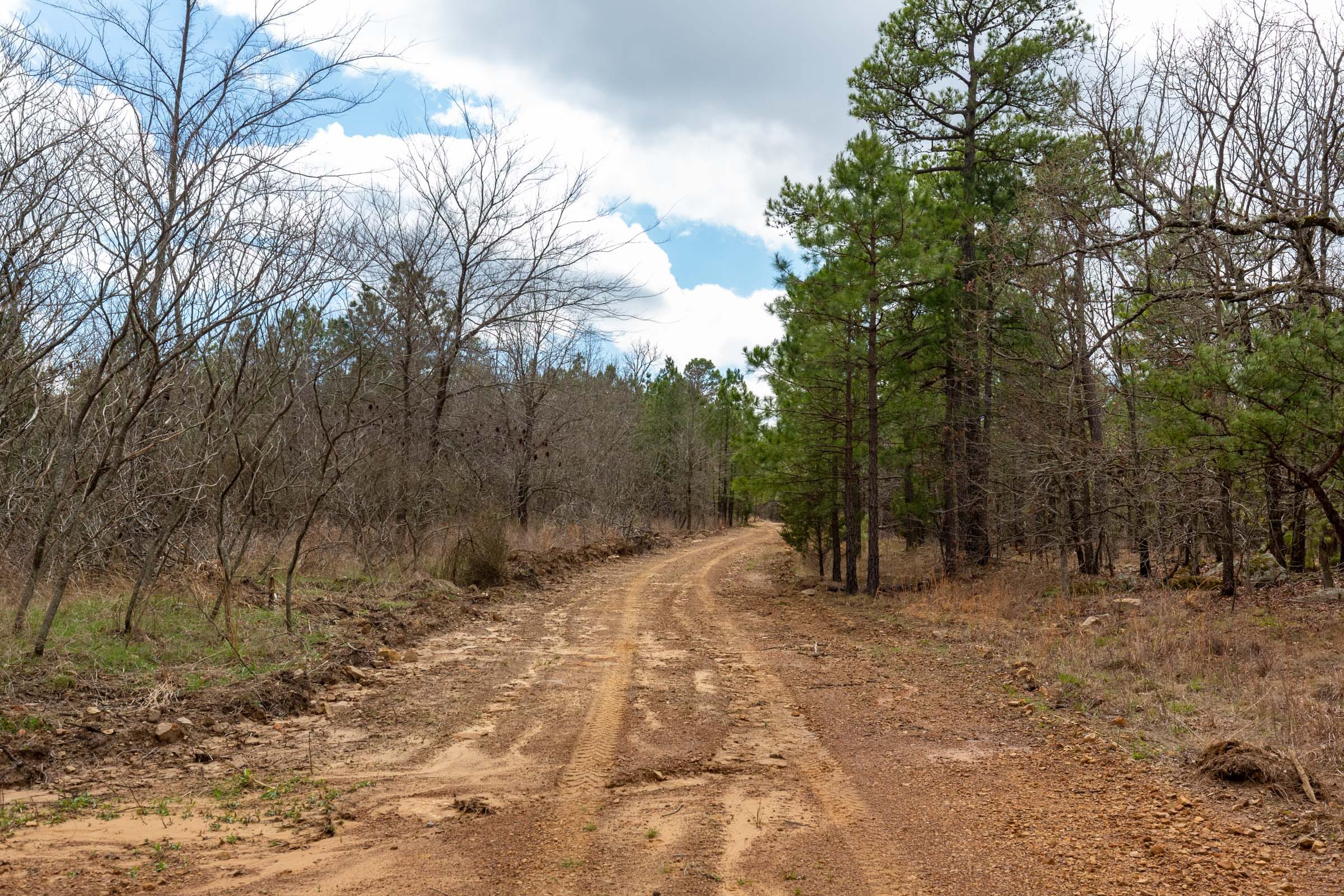 Stone Bridge Phase III Tract 219 photo 7