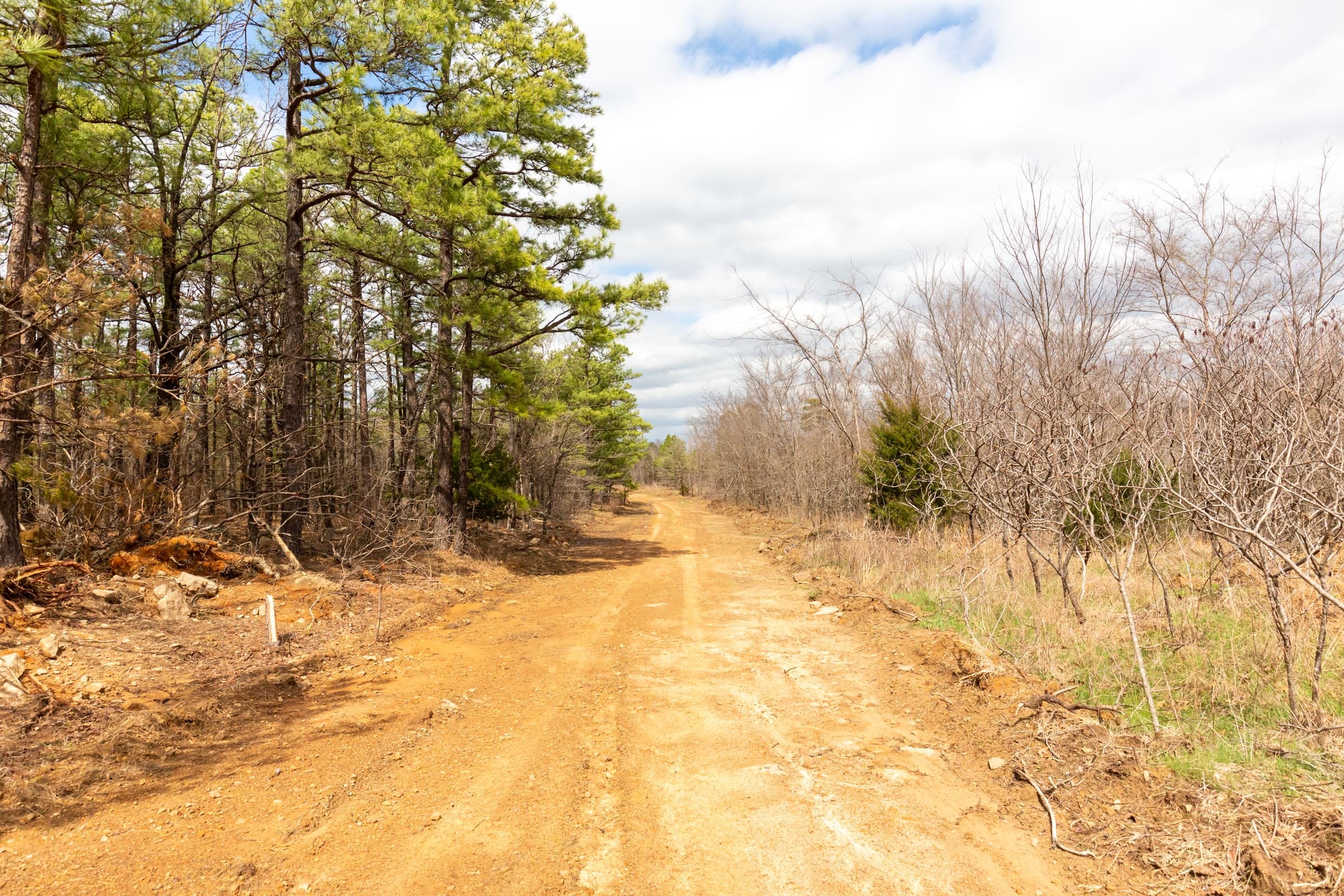 Stone Bridge Phase III Tract 219 photo 10