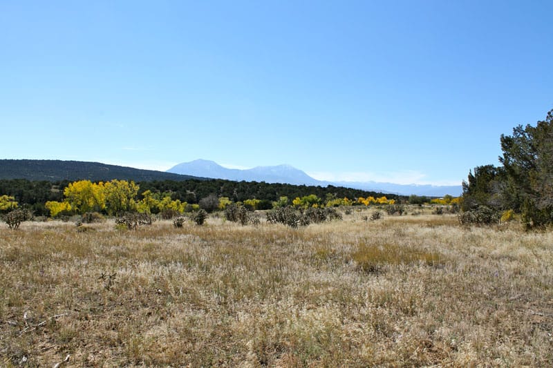 Black Diamond Park Tract 18 photo 2
