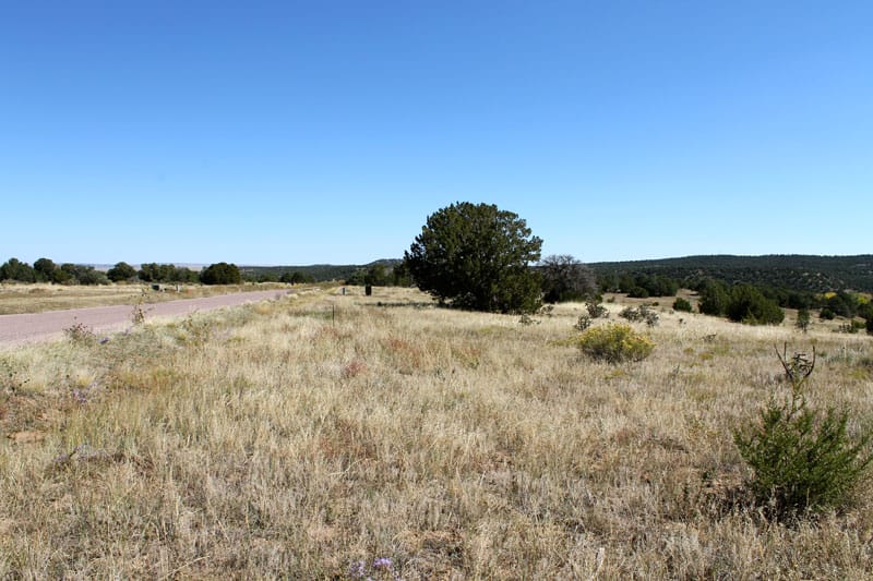 Black Diamond Park Tract 18 photo 6