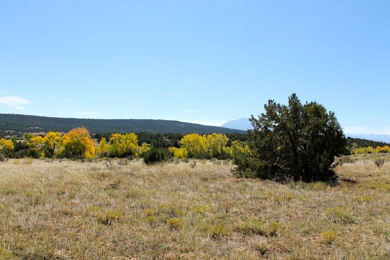 Black Diamond Park Tract 18 photo 8