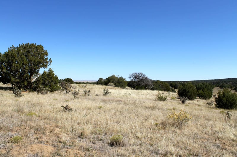 Black Diamond Park Tract 18 photo 14