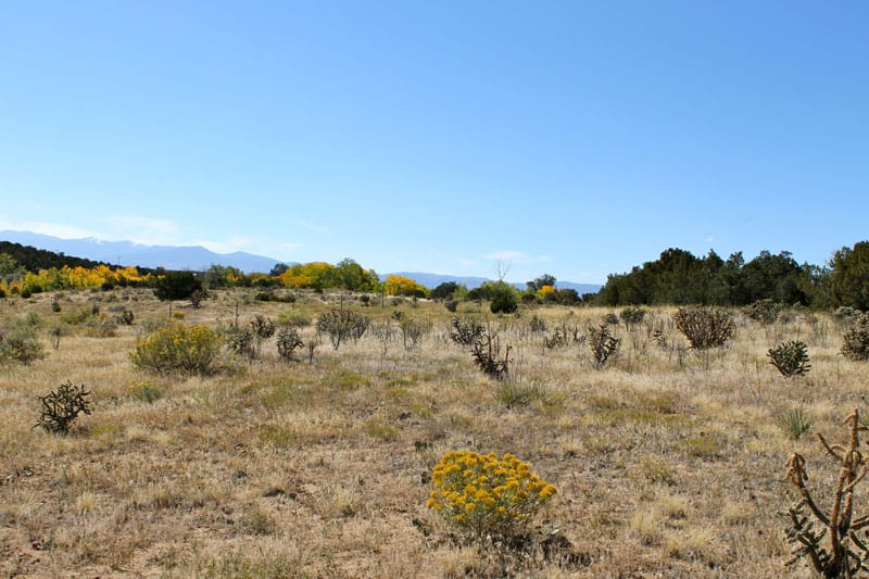 Black Diamond Park Tract 18 photo 16