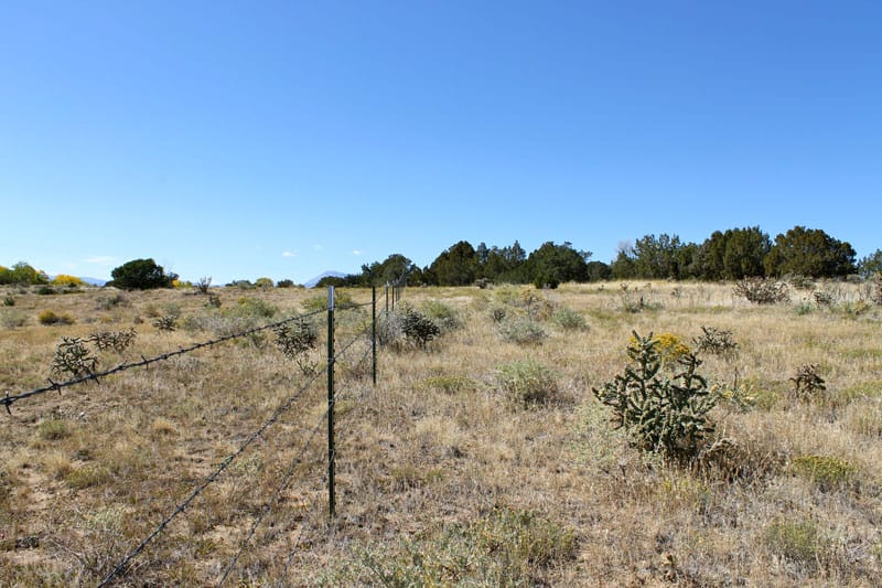 Black Diamond Park Tract 18 photo 18