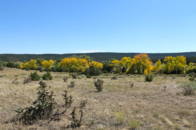 Black Diamond Park Tract 18 photo 19