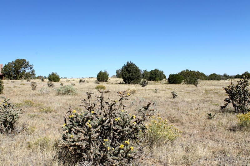 Black Diamond Park Tract 18 photo 21
