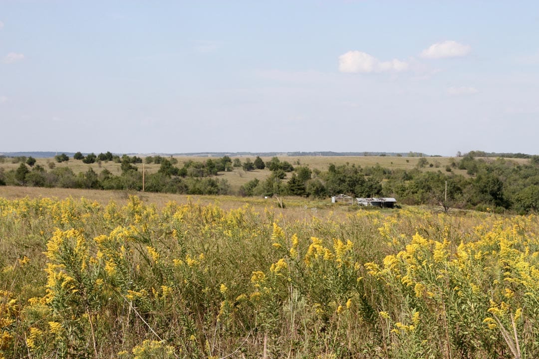 Cowboy Meadows Tract 22 photo 1