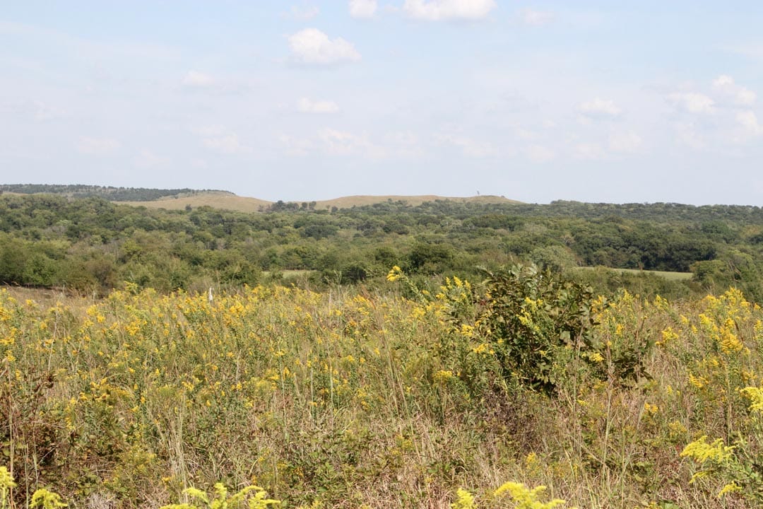 Cowboy Meadows Tract 22 photo 3