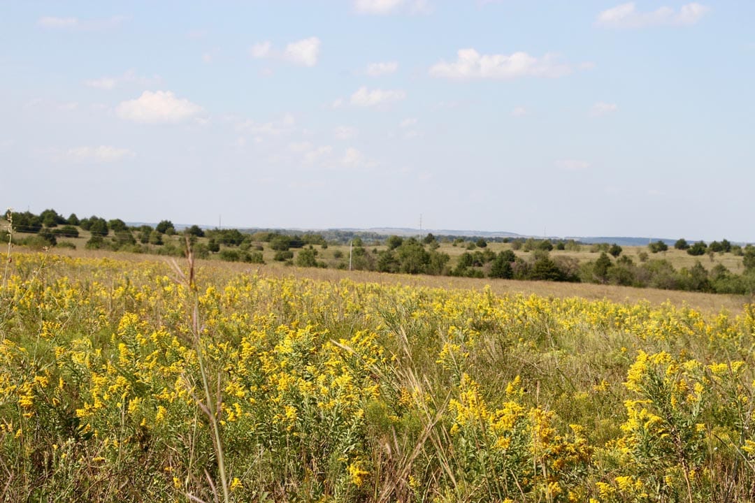 Cowboy Meadows Tract 22 photo 4