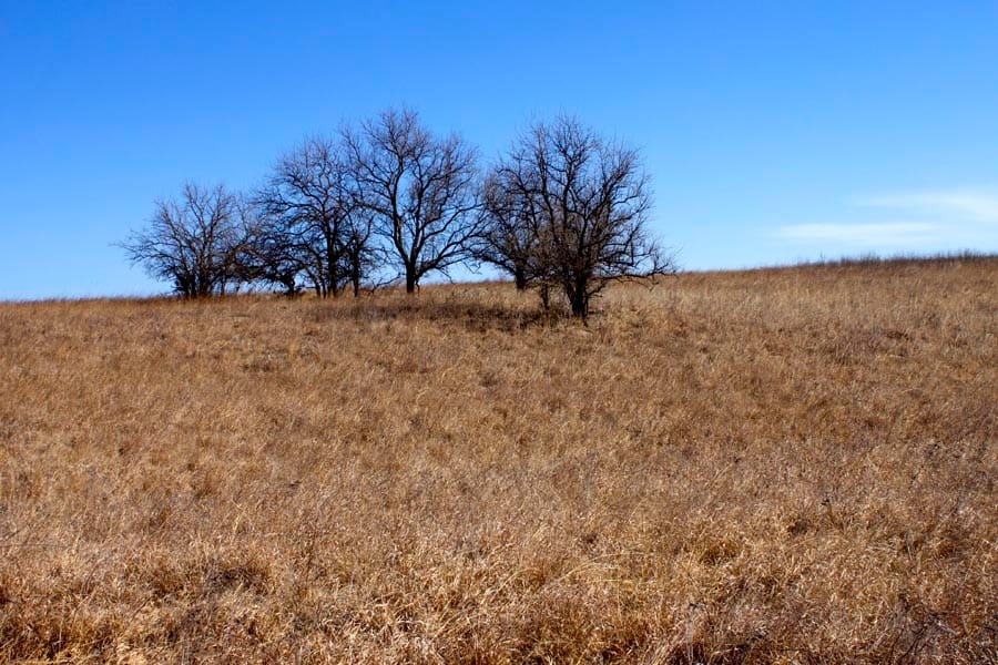 Cowboy Meadows Tract 22 photo 7