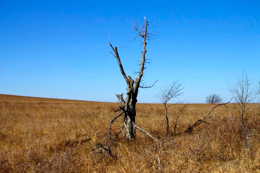 Cowboy Meadows Tract 22 photo 8