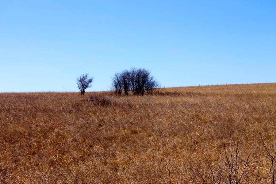 Cowboy Meadows Tract 22 photo 10