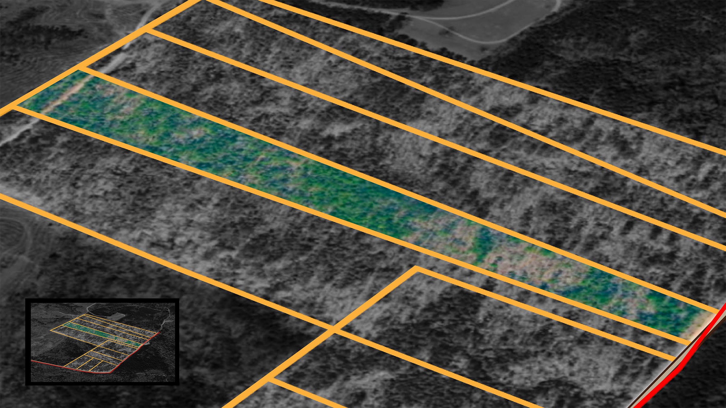 Olive Hill Tract 8 photo 1