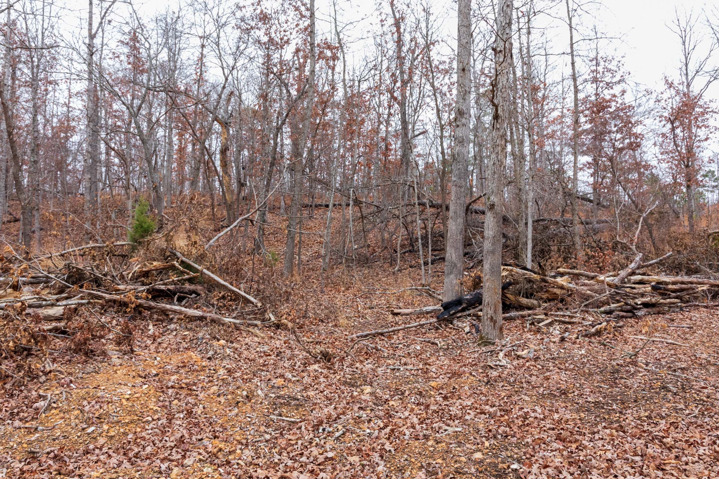 Carter’s Crossing Tract 9 photo 2
