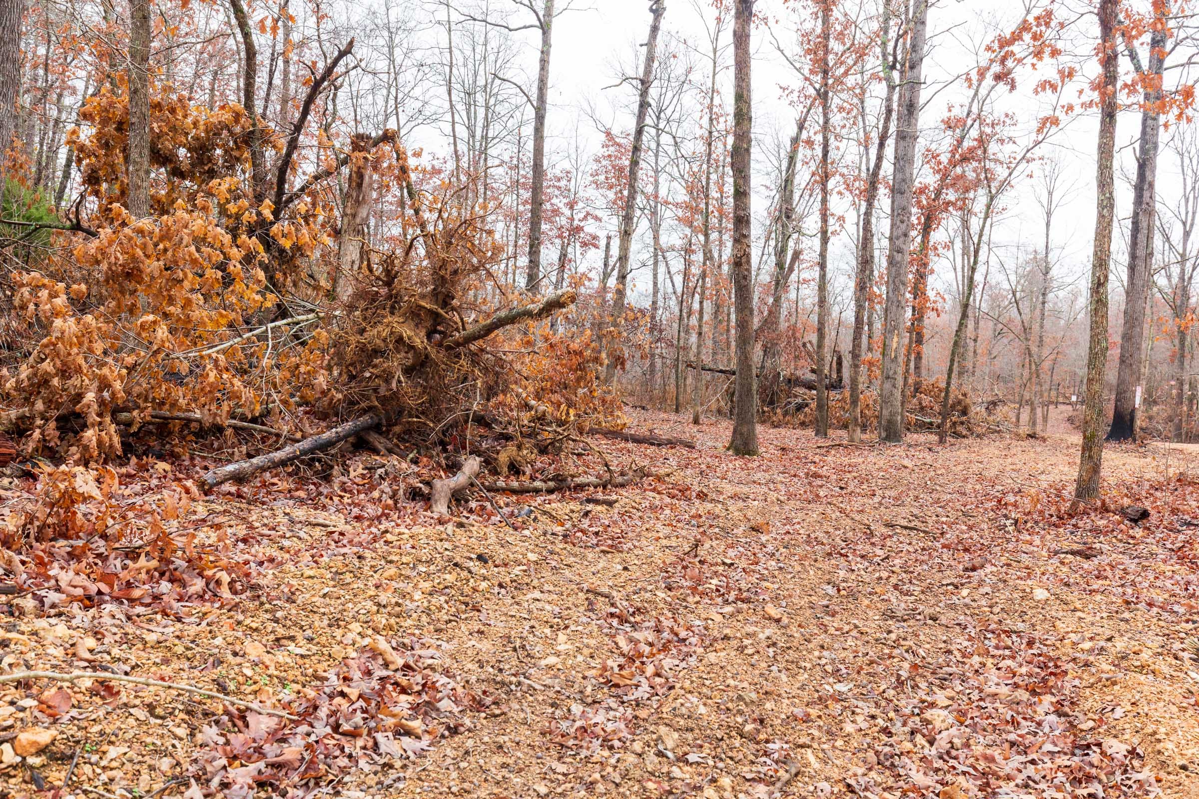 Carter’s Crossing Tract 9 photo 5