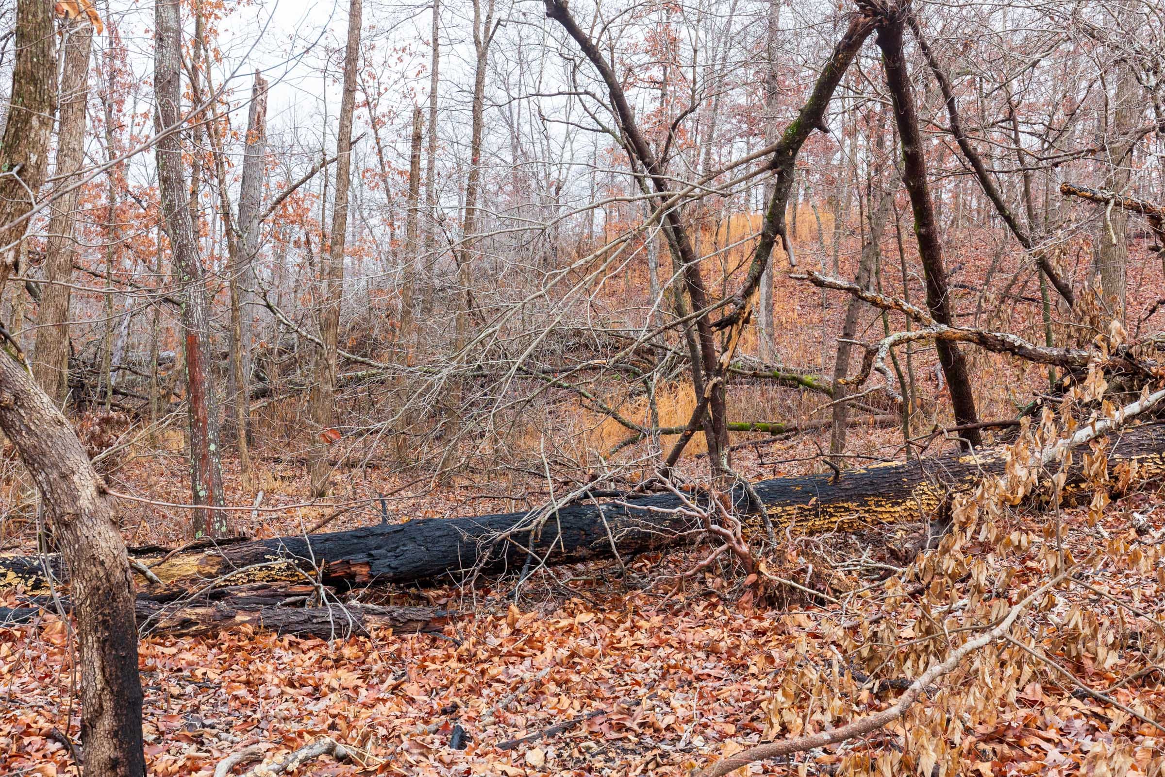 Carter’s Crossing Tract 9 photo 7