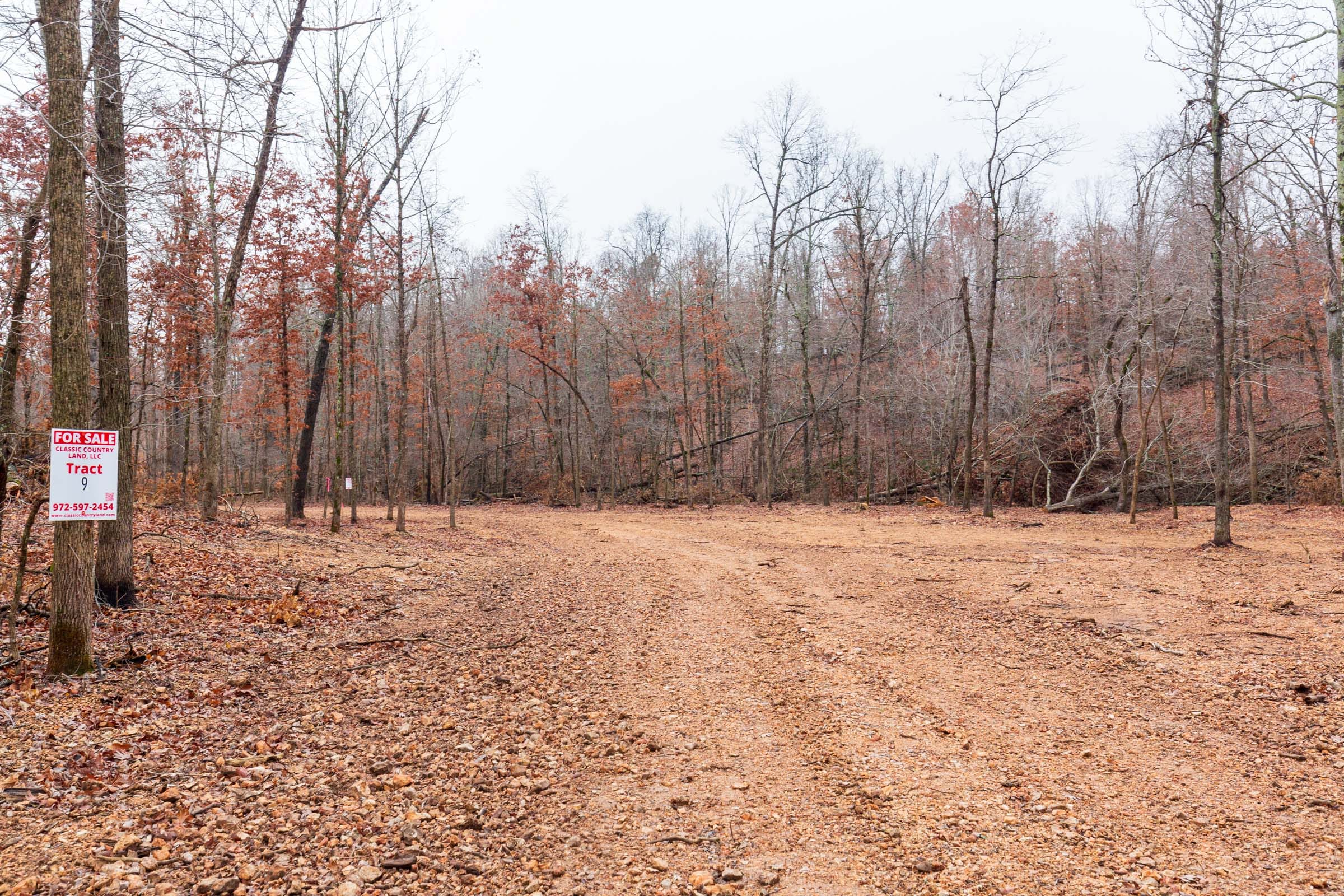 Carter’s Crossing Tract 9 photo 9