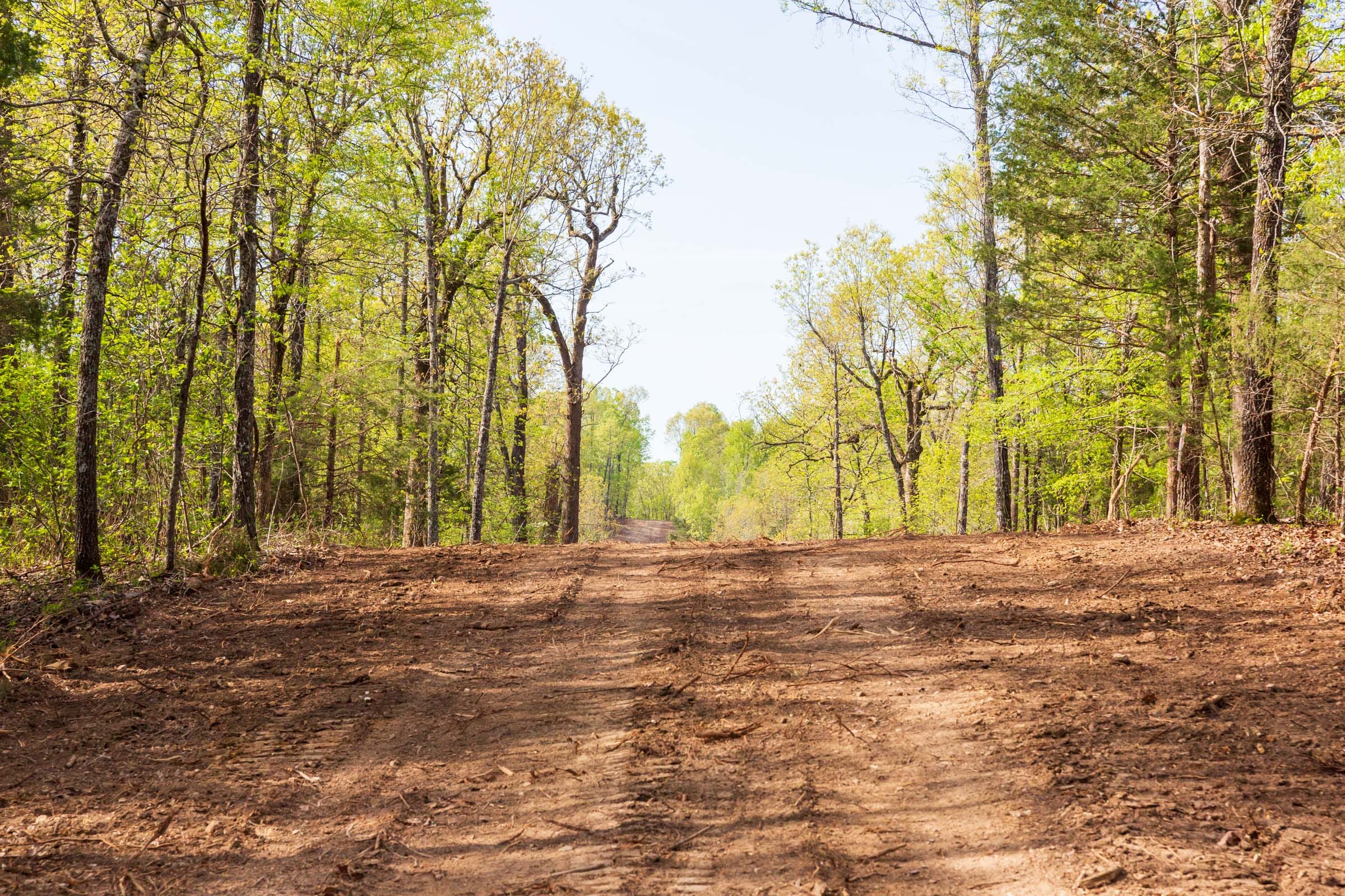 Autumnwood Tract 11 photo 1
