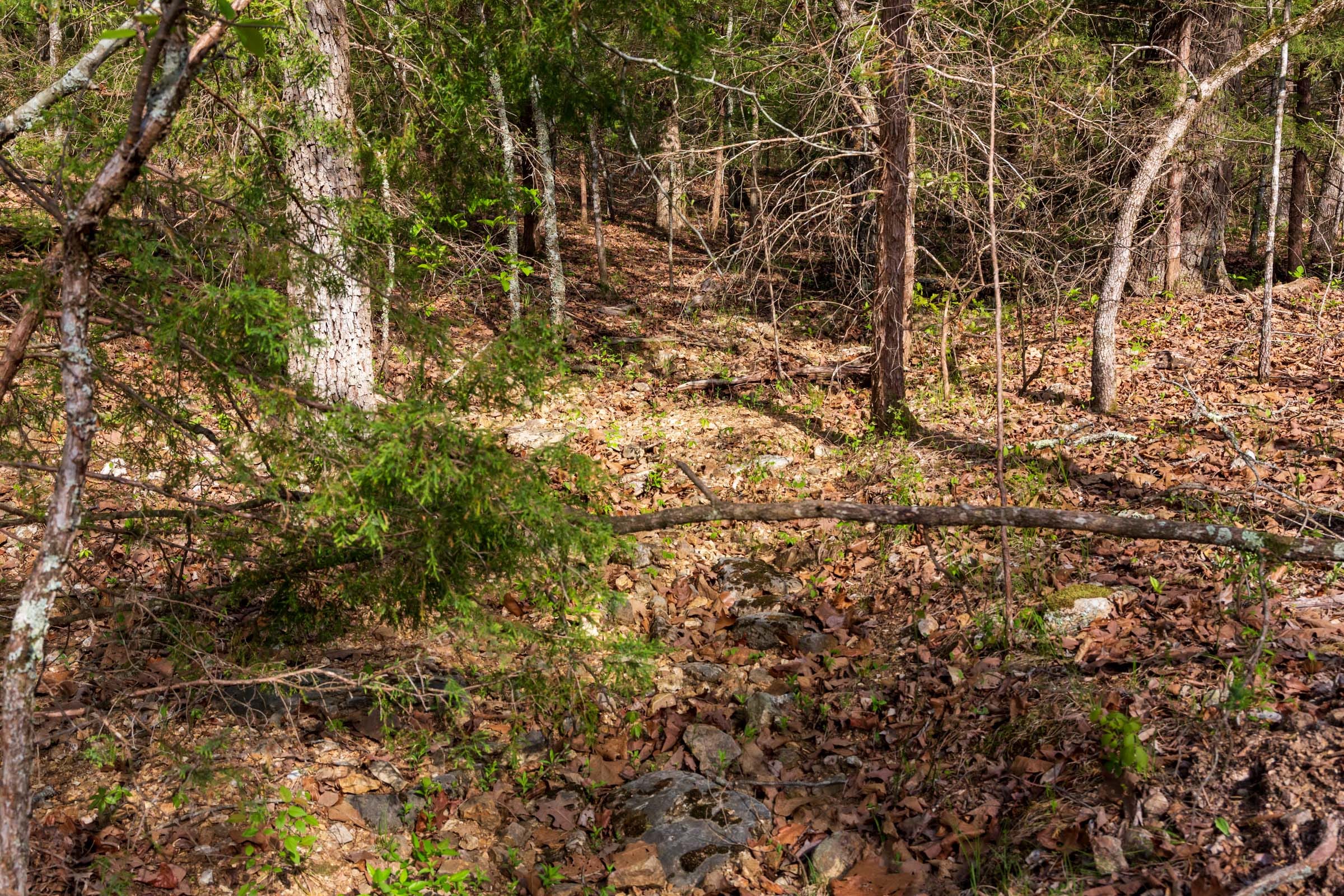Autumnwood Tract 11 photo 5
