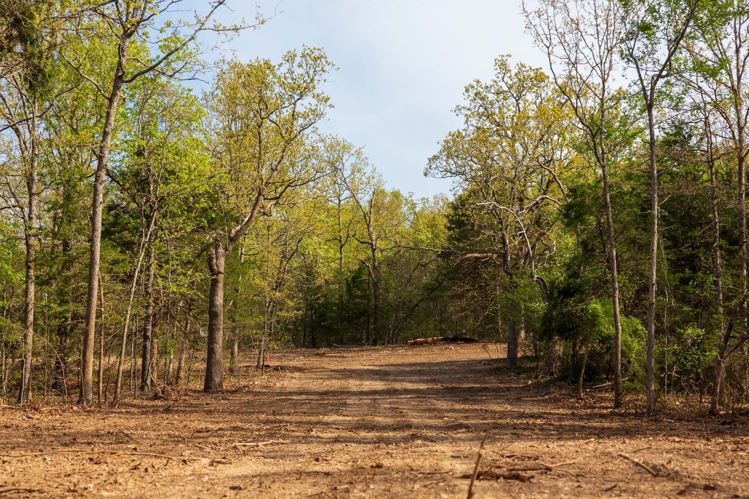 Autumnwood Tract 11 photo 6