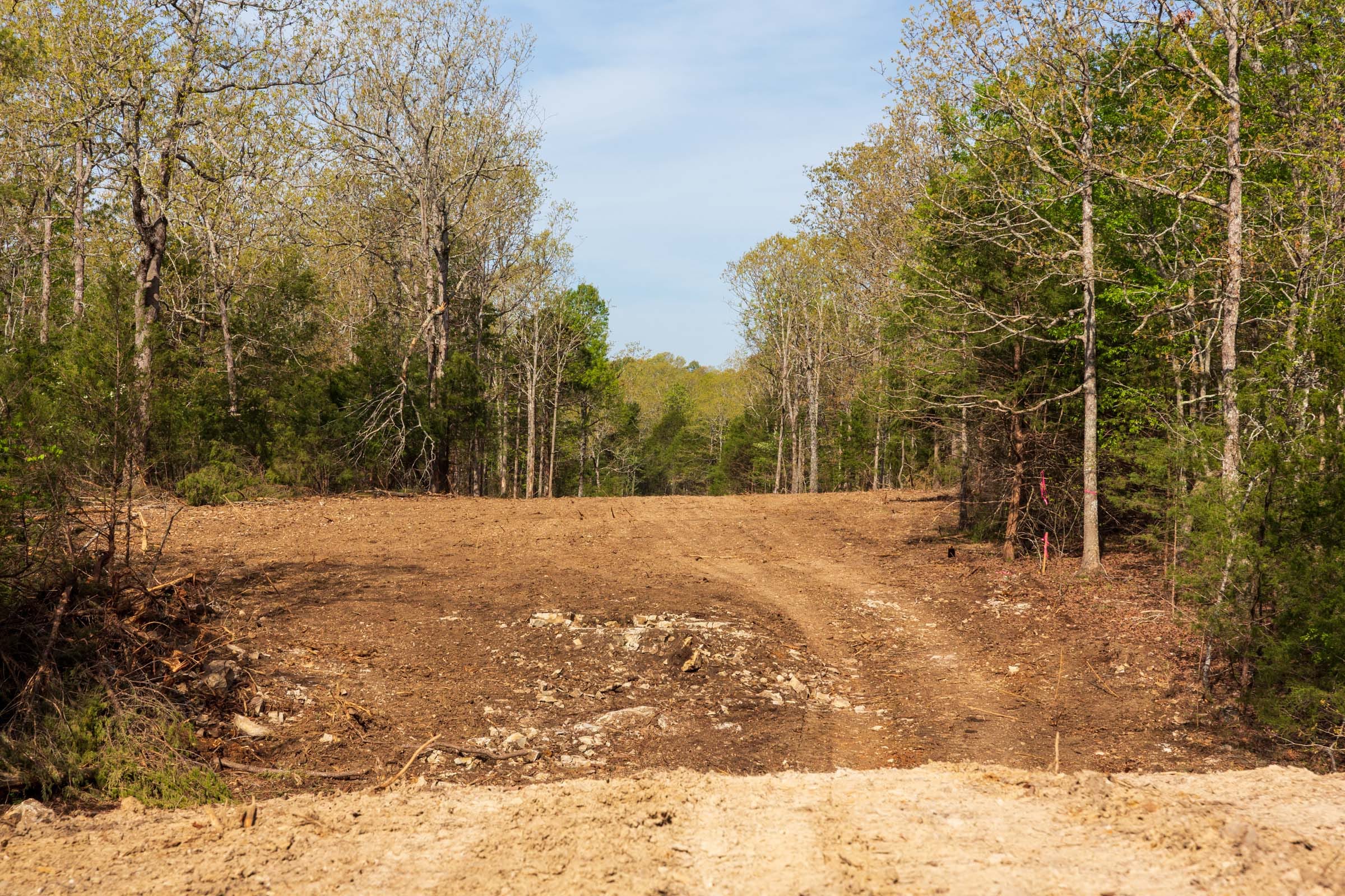 Autumnwood Tract 11 photo 14