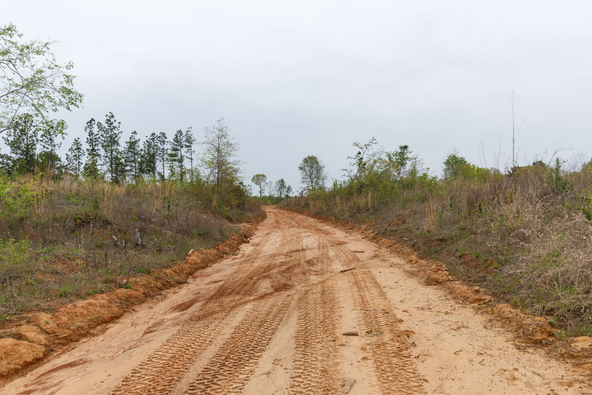 Twin Rivers Tract 29 photo 2