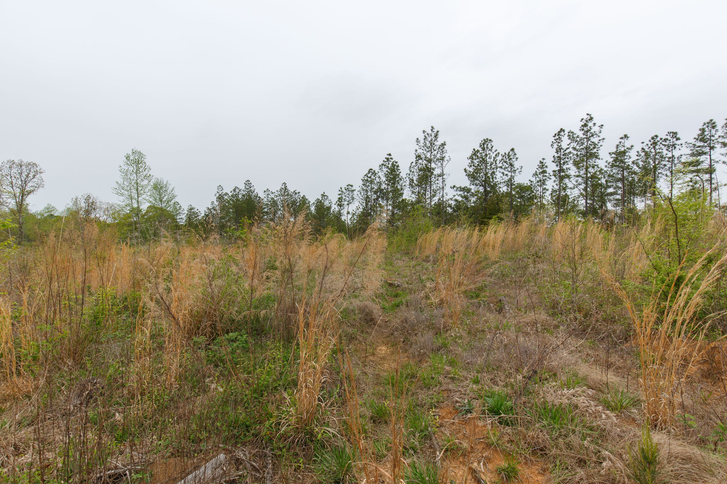 Twin Rivers Tract 29 photo 4