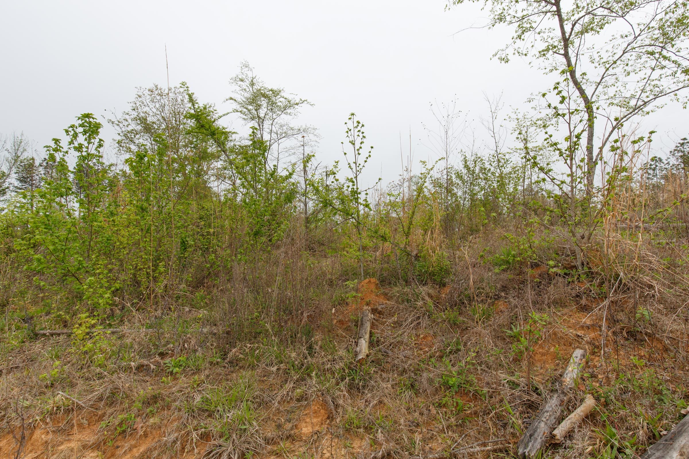 Twin Rivers Tract 29 photo 6