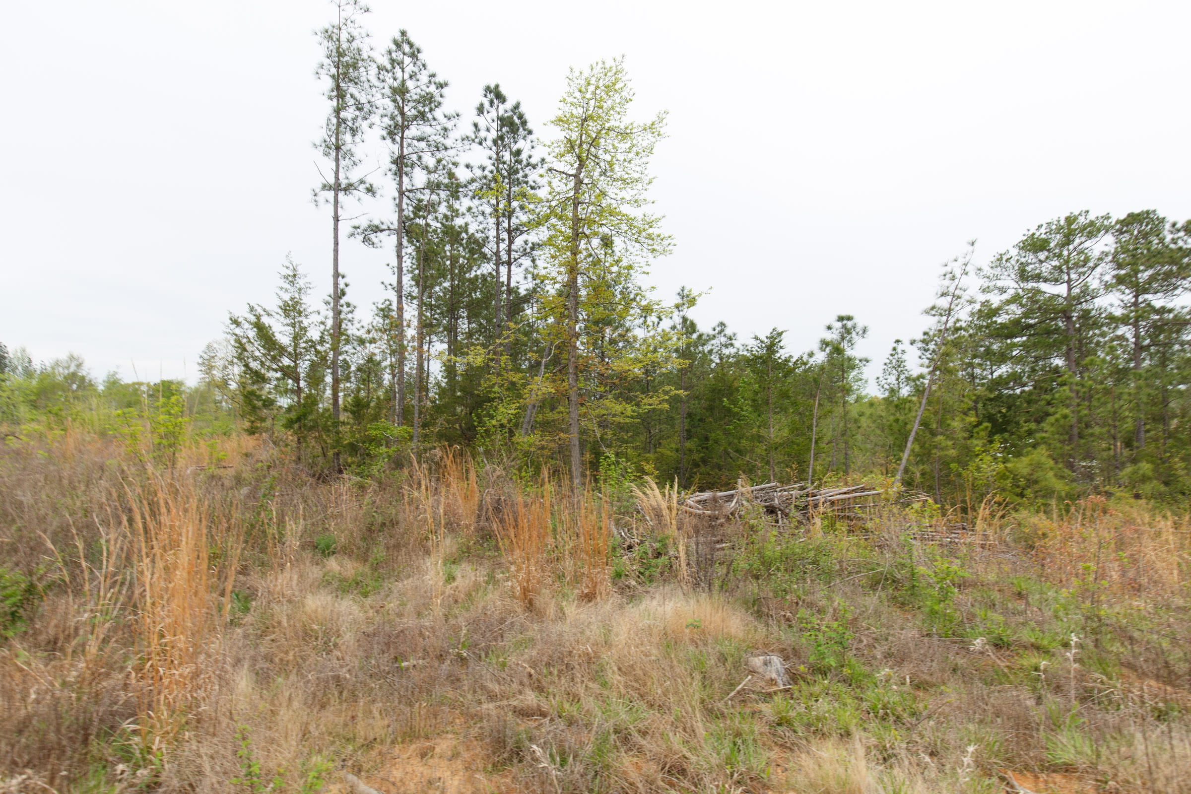 Twin Rivers Tract 29 photo 8