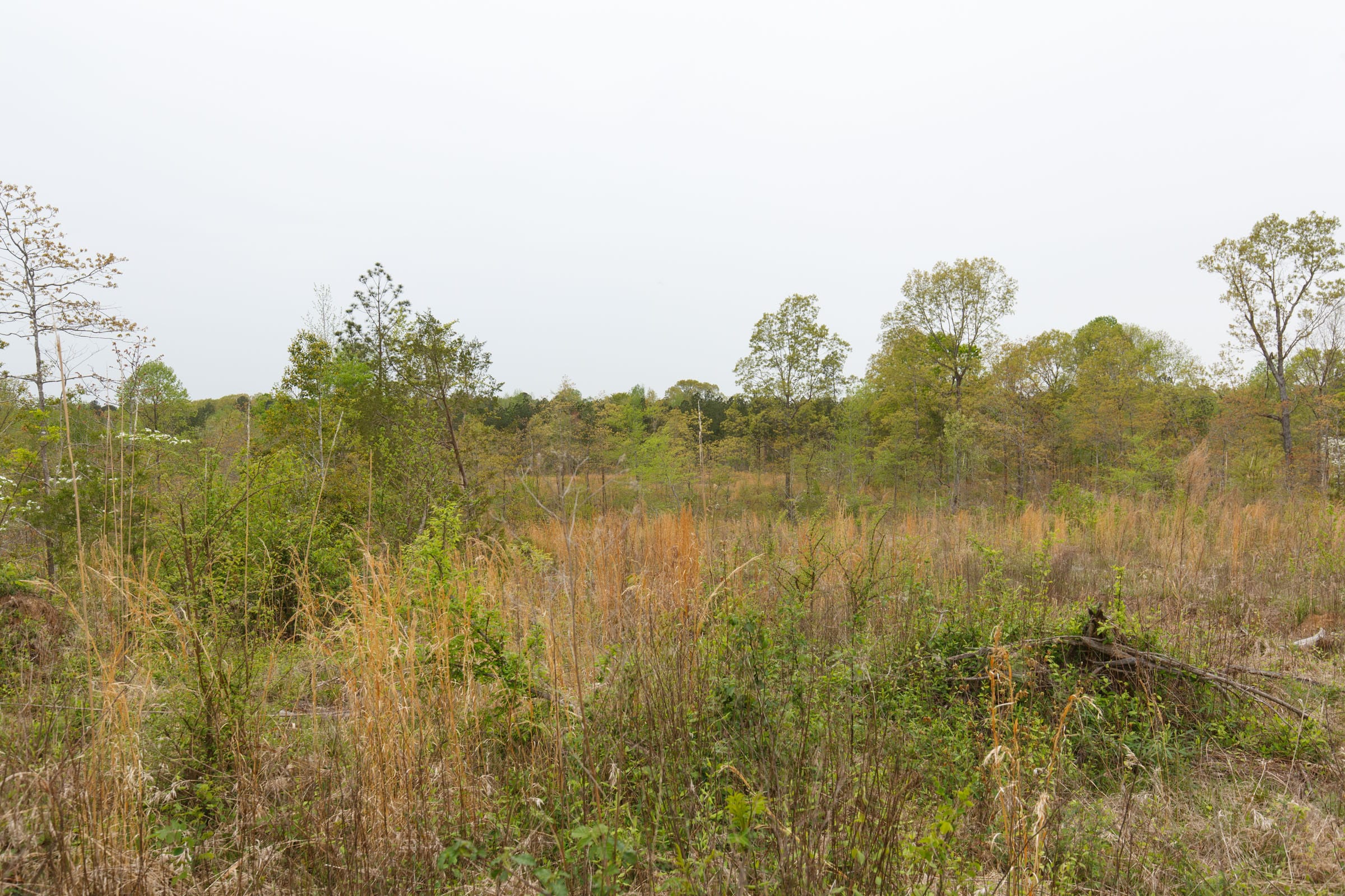 Twin Rivers Tract 29 photo 10