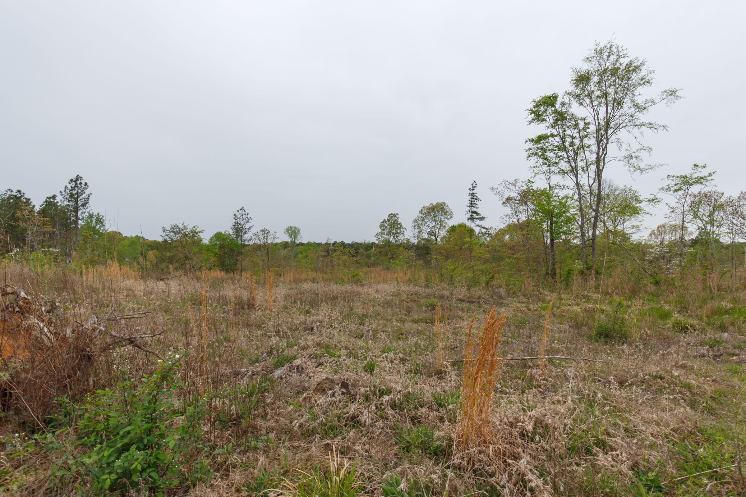 Twin Rivers Tract 29 photo 9