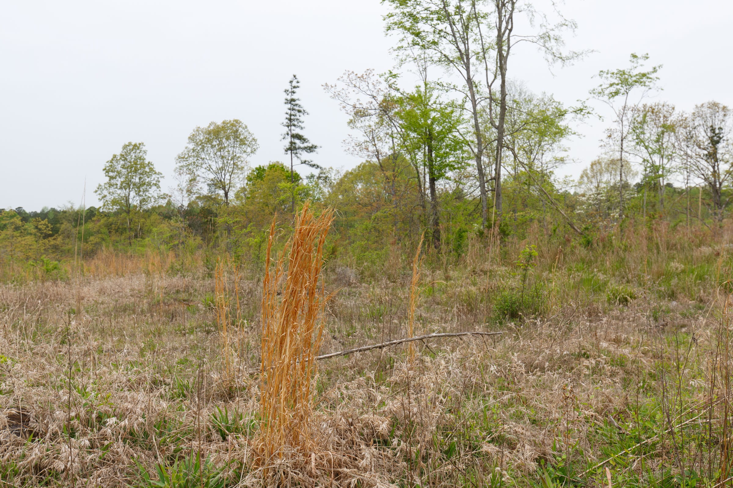 Twin Rivers Tract 29 photo 11