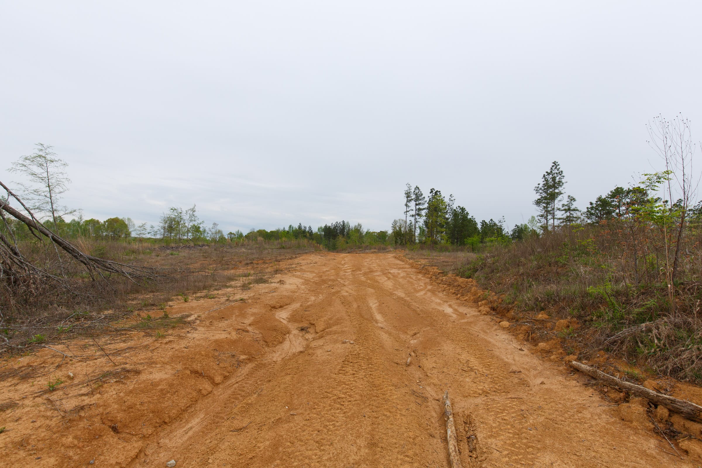 Twin Rivers Tract 29 photo 7