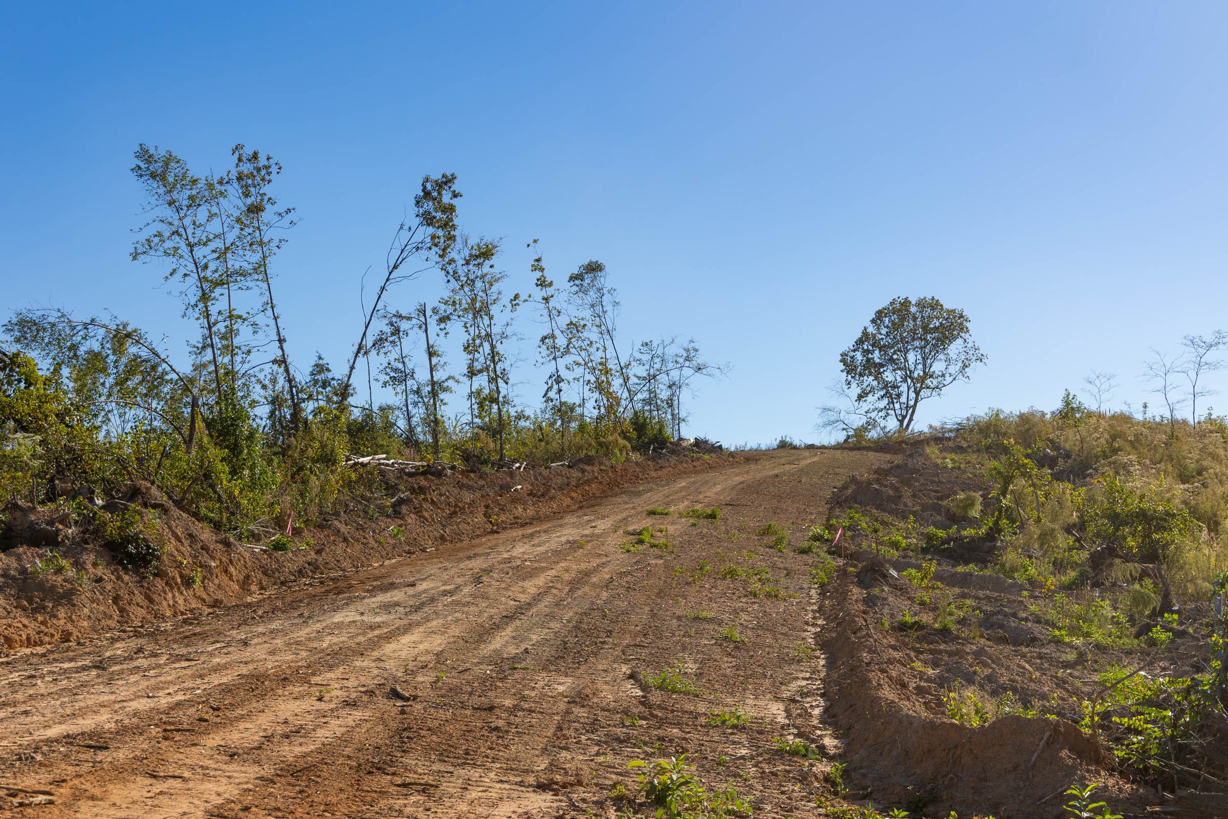 Meyer’s Ridge Tract 30 photo 10