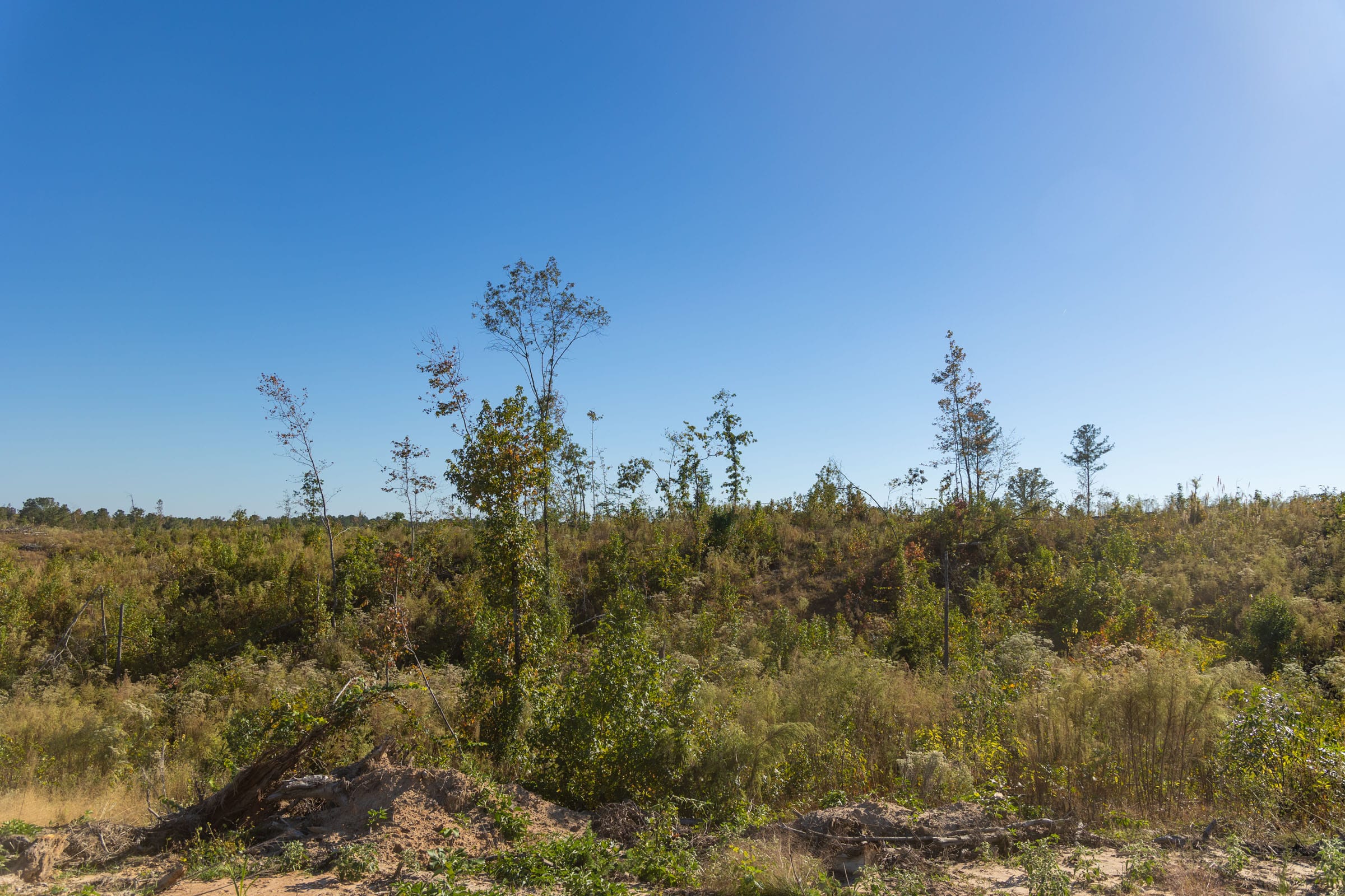 Meyer’s Ridge Tract 30 photo 9