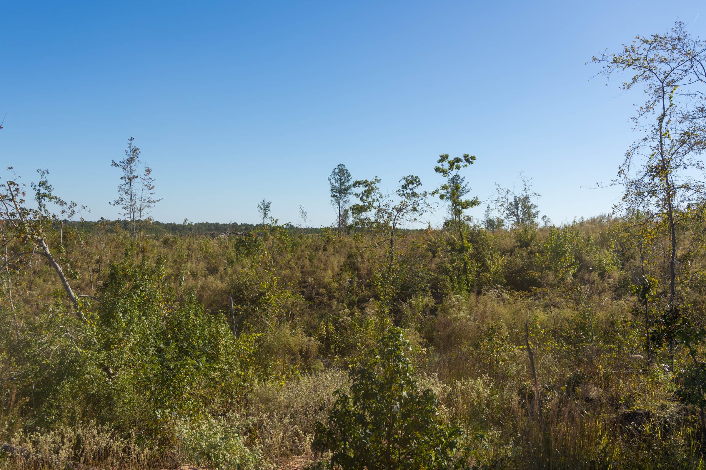 Meyer’s Ridge Tract 30 photo 8
