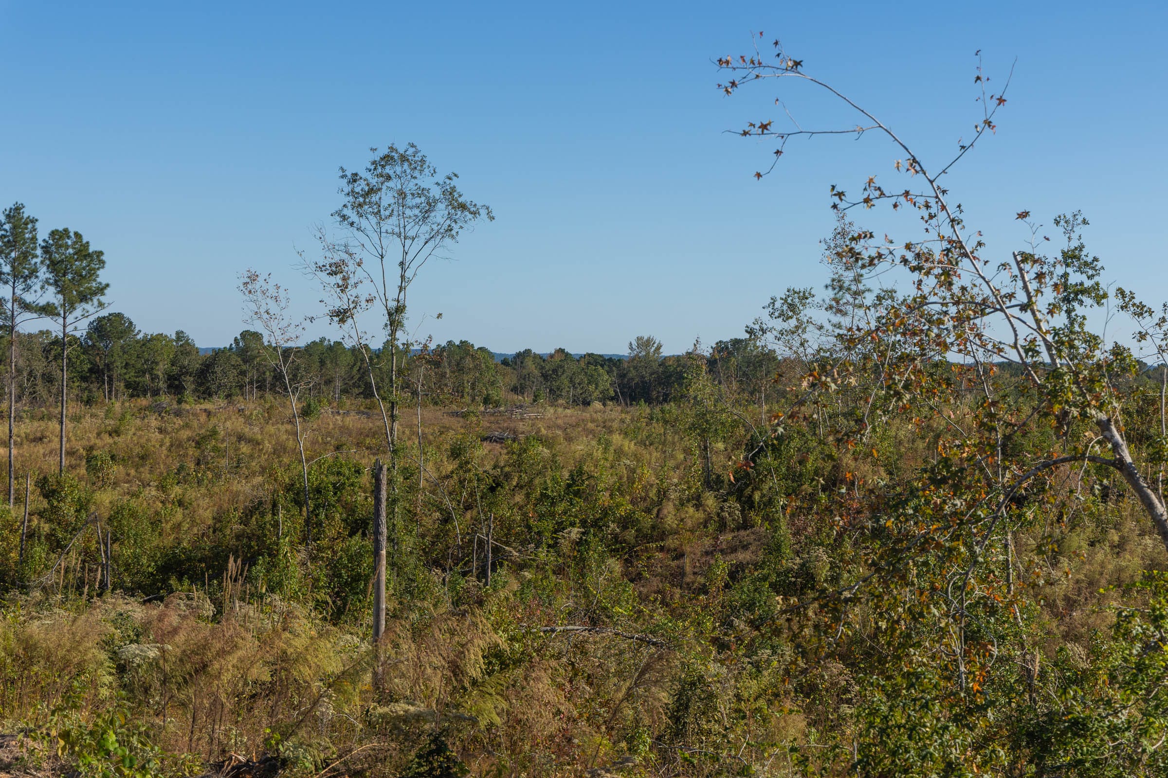 Meyer’s Ridge Tract 30 photo 4