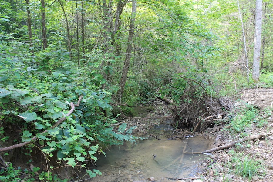 Cumberland Ridge Ranch Tract 8 photo 3