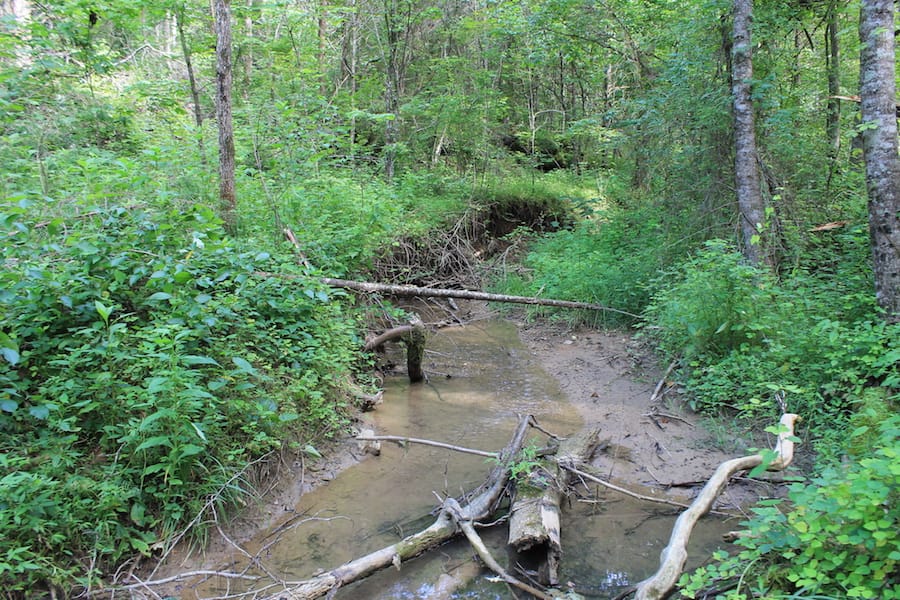 Cumberland Ridge Ranch Tract 8 photo 4