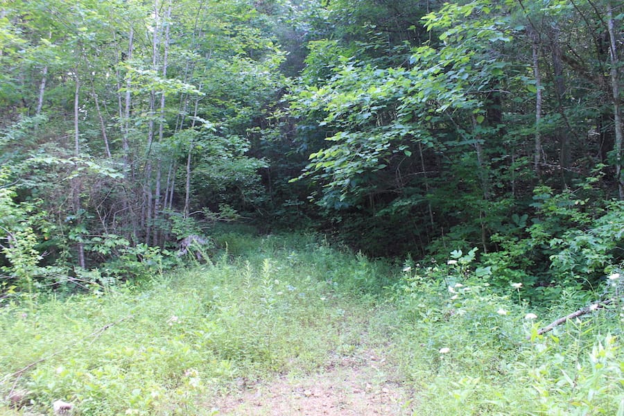 Cumberland Ridge Ranch Tract 8 photo 10