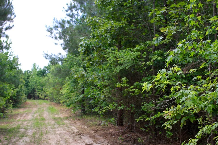 Bluebird Ranch Tract 7 photo 2
