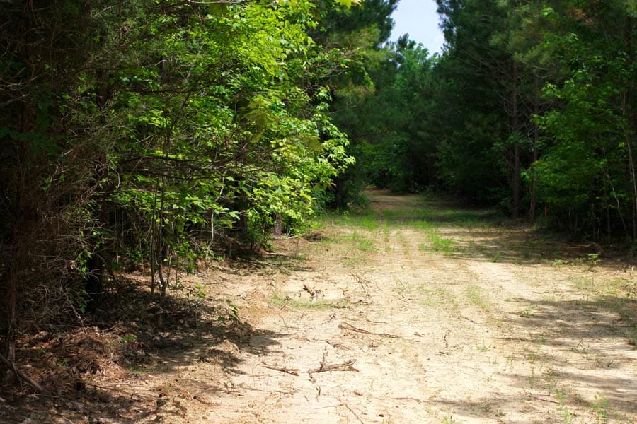 Bluebird Ranch Tract 7 photo 6